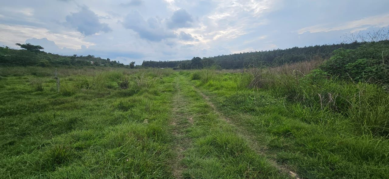 Hassan, 25 km from Hassan city - 12 acre agricultural land