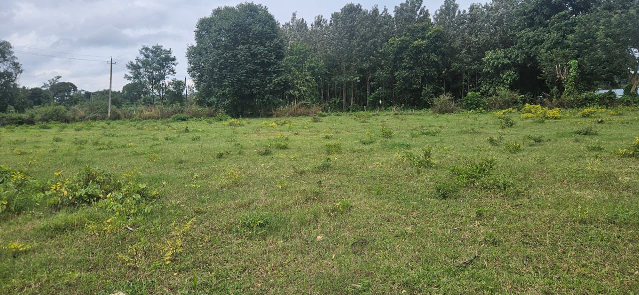  Hassan, 26 km from Hassan city - Land Area: 6 acres