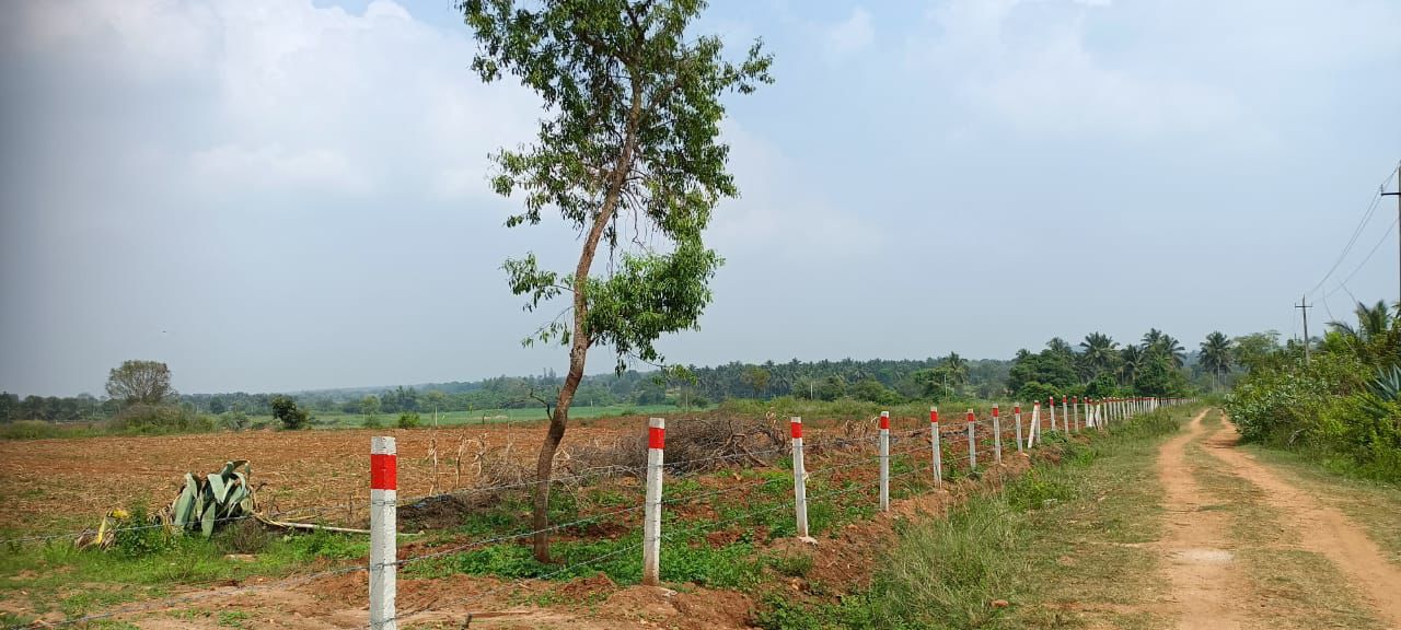 Holenarsipura hassan - 18 acre agricultural land