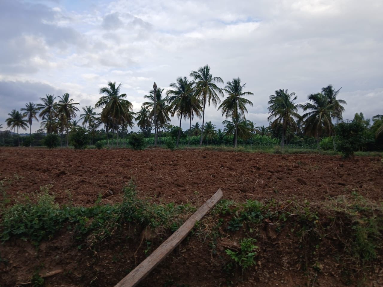 Kanakapura, 12 km from Kanakapura city - Land Area: 20 acres