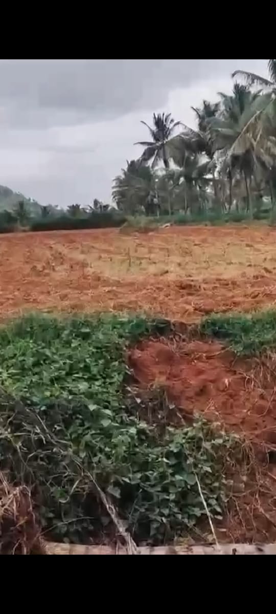 Kanakapura, Bengaluru south district, 5 km from city - 50 gunta farm land for sale, 