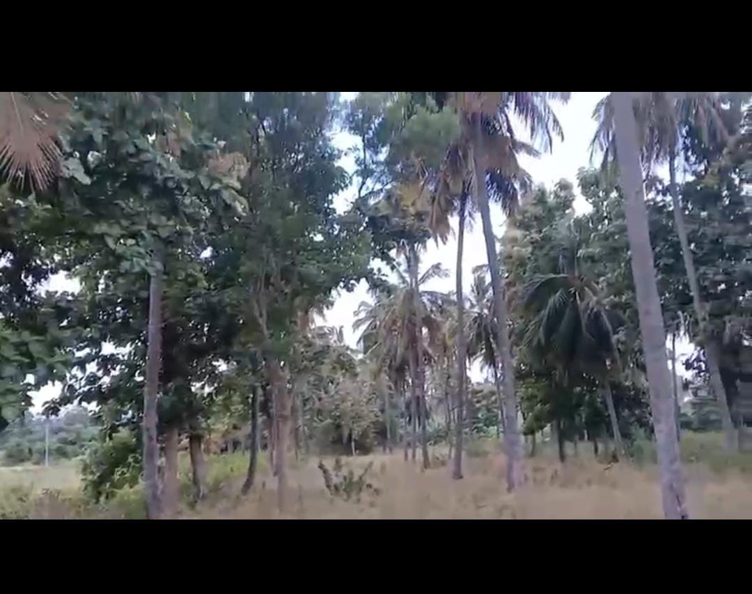  Kanakpura, Doddahalahalli to Sangama road - Land Area: 3.12 acres