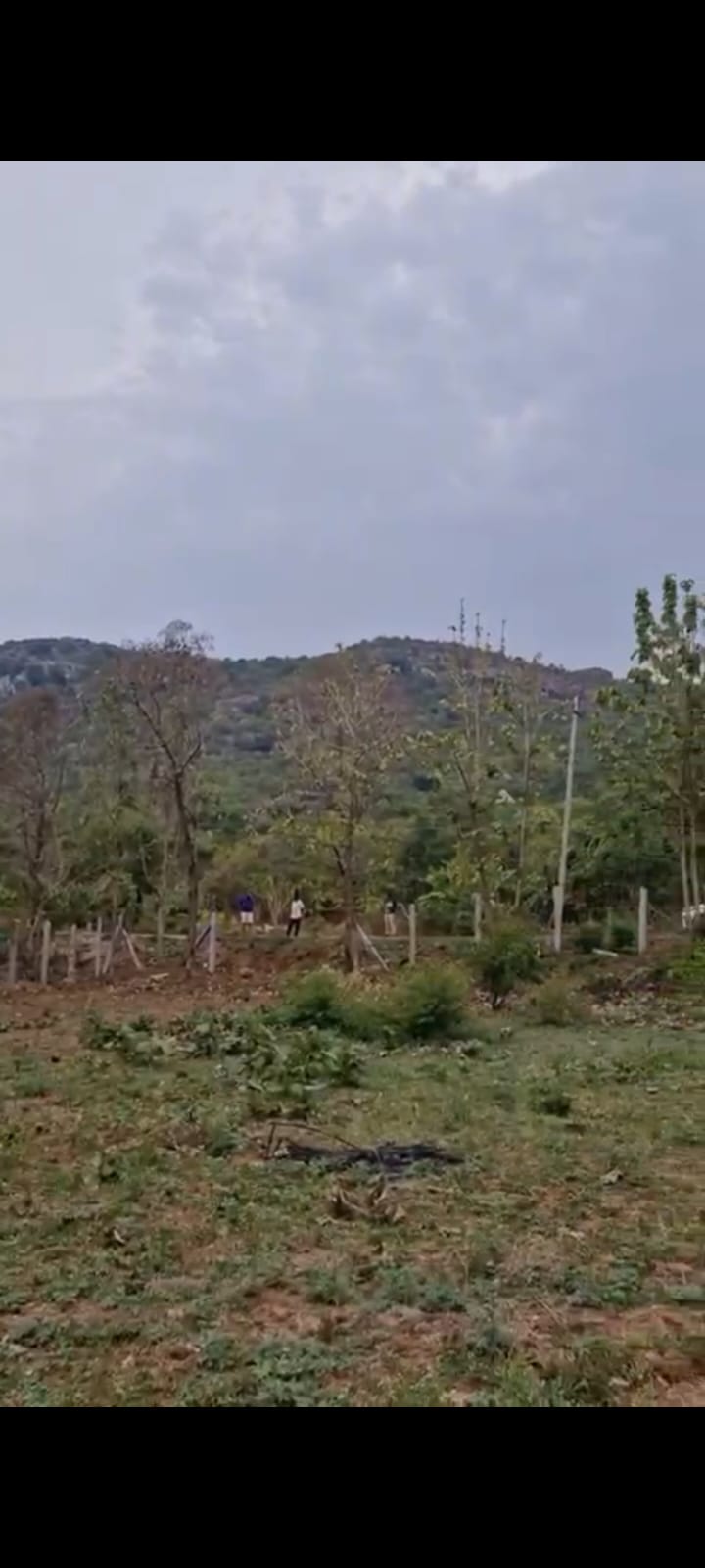 Land for Sale in Sasalu Hobli, Doddaballapura 
