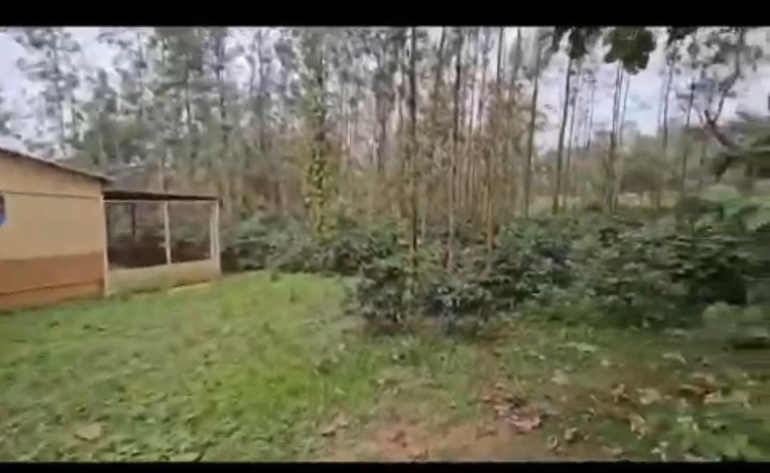 Land for Sale near Shettihalli Lake!  - 37 Guntas land in scenic location