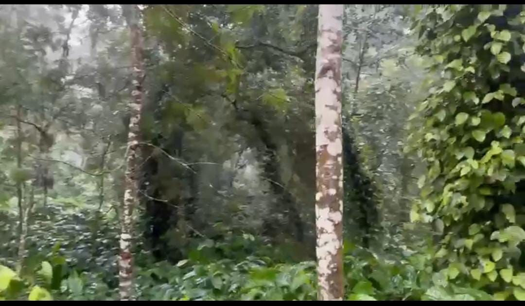  Land for Sale in Doddaballapura 
