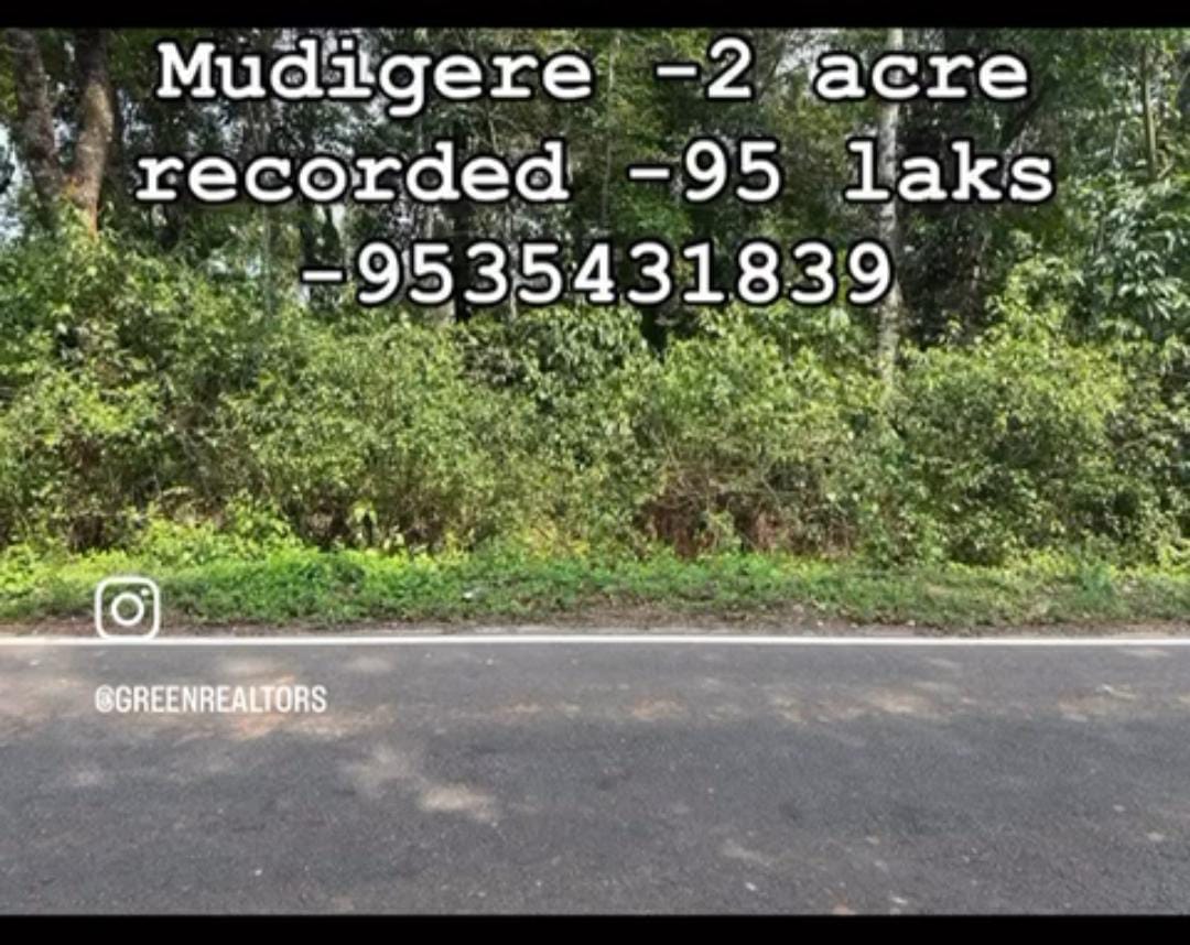 Land for Sale in Mudigere!  - 4 acres land with tarr road approach