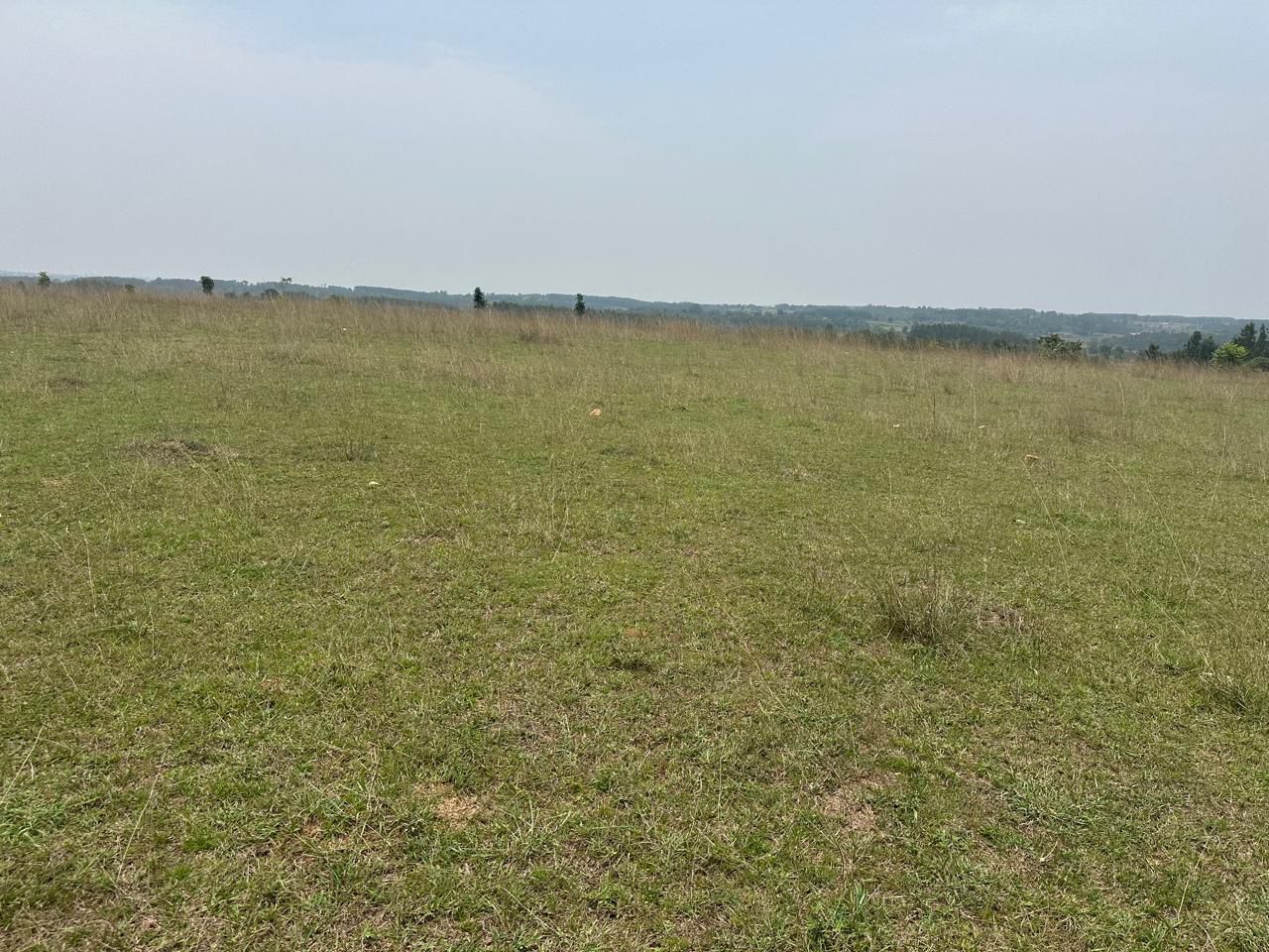 Land for Sale! - Location: Belur - 10 acre land