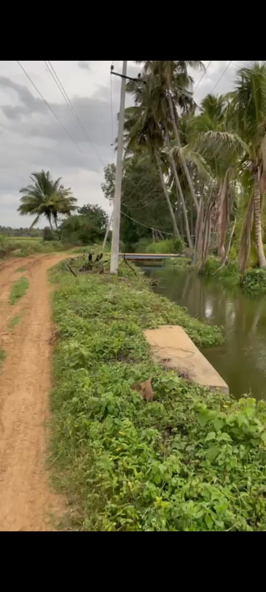 Maddur, between Maddur and KM doddi - Land Area: 1 acre 11 guntas