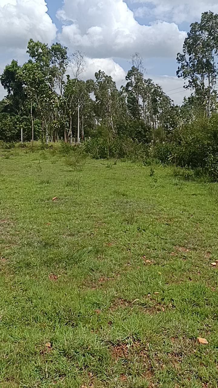  Malavalli, near Netkal - Land Area: 2.30 acres