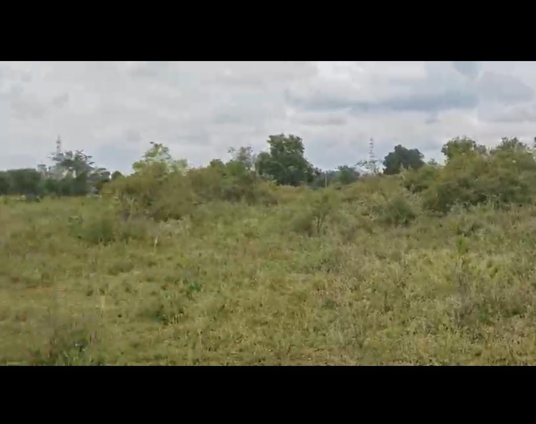 Malavalli, Mandya dist - 4-acre farm land for sale,