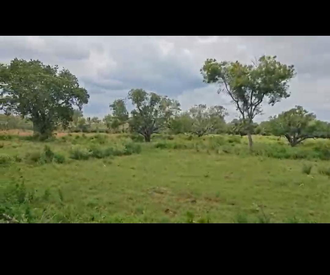Malavalli, Mandya - 2-acre farm land for sale,