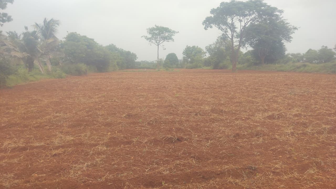 Mysuru, 20 km from Mysore palace - Land Area: 4.36 acres