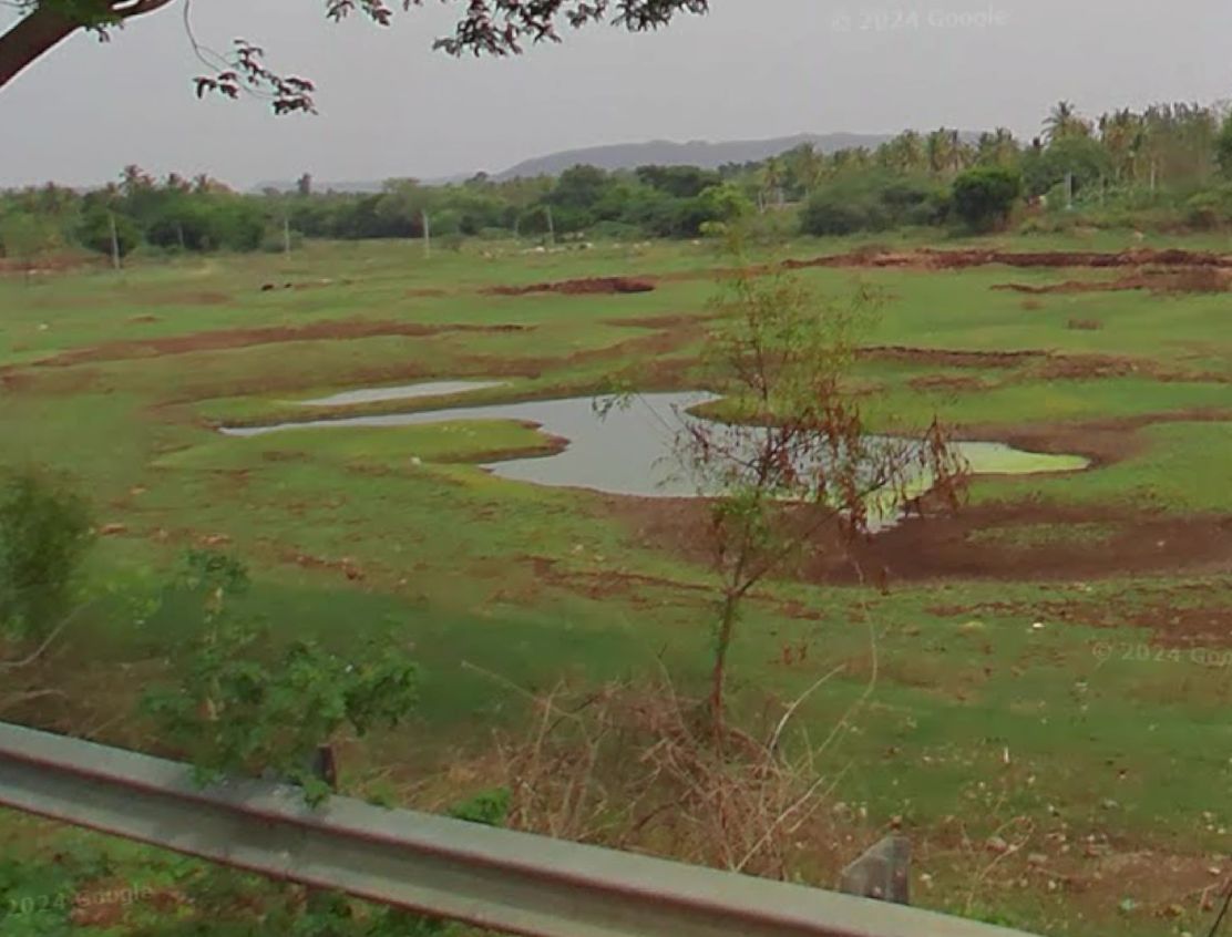 Nanjangud talluk, Mysuru - 32 gunta farm land