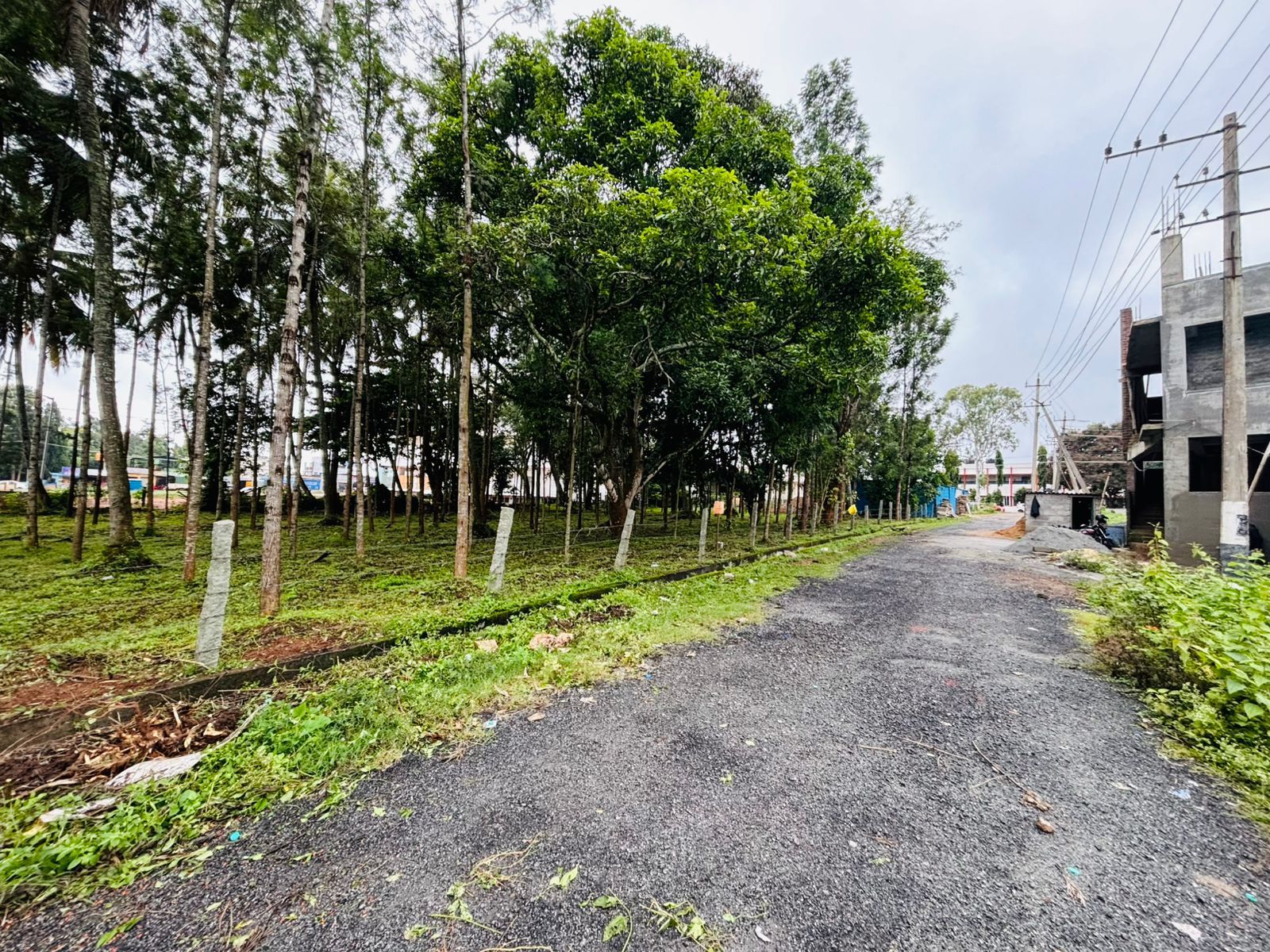 Near AIT circle, Chikkamgaluru - Land Area: 5000 sqft (50x100)