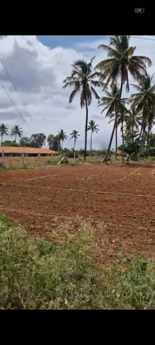 Near Doddaballapura-Dabaspete highway - 20 gunta farm land for sale
