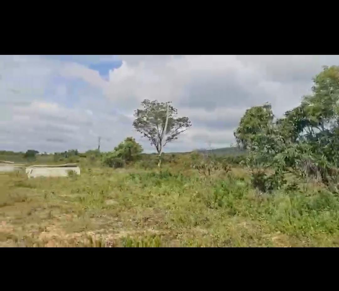 Near Halgoor - 19-acre farm land for sale
