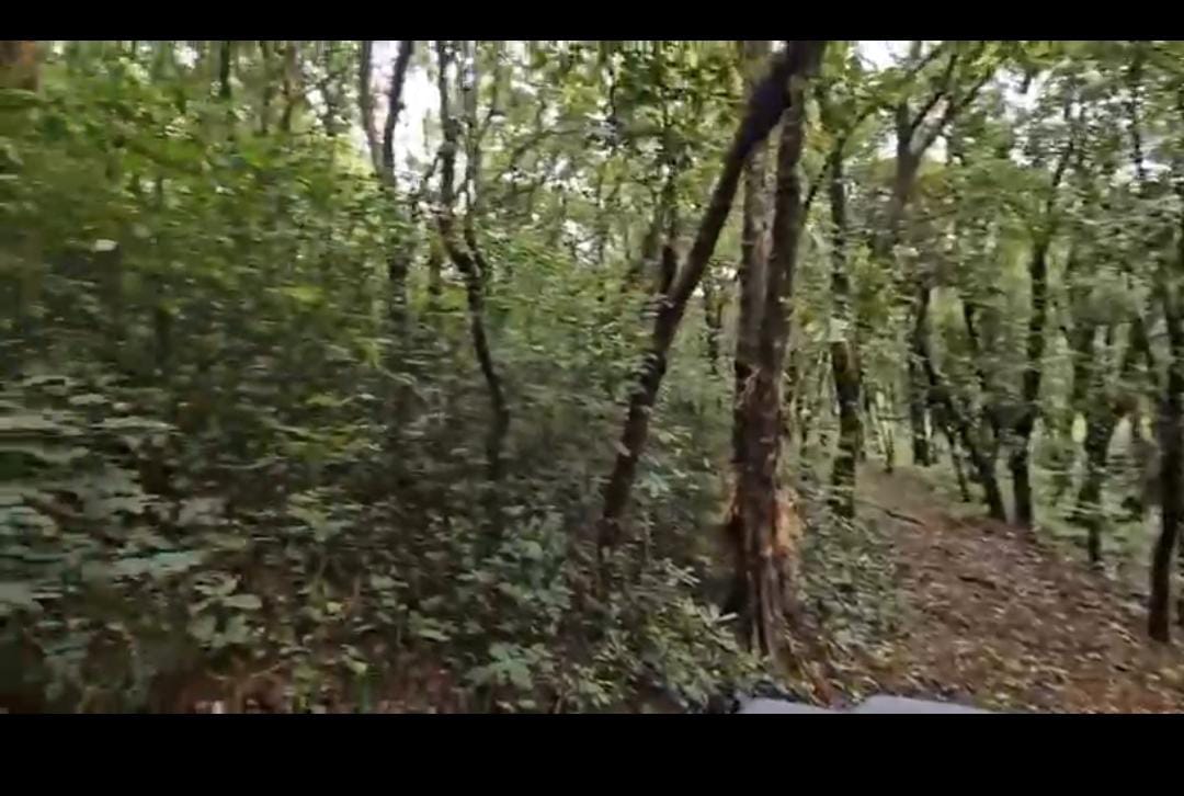  Near Kadmane Estate, Sakleshpura - Land Area: 18 acres