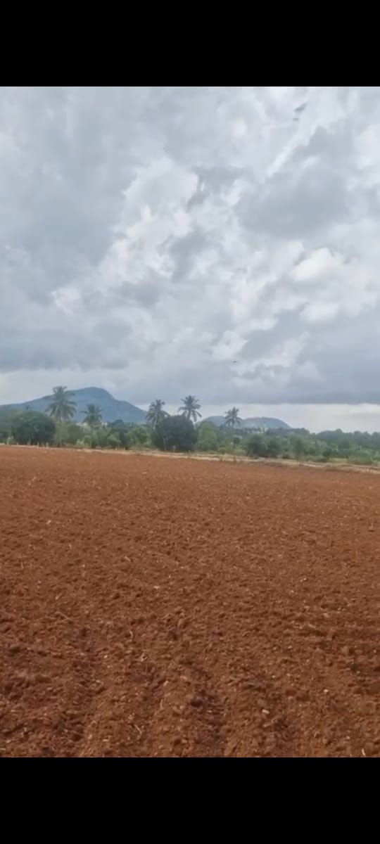  Near Nandi Hills, Doddabalapura taluk, Bengaluru south district - Land Area: 55 guntas