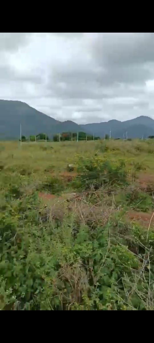  Near Yalandur, Chamrajanagara district, 170 km from Majestic Bangalore - 30-acre agri land for sale