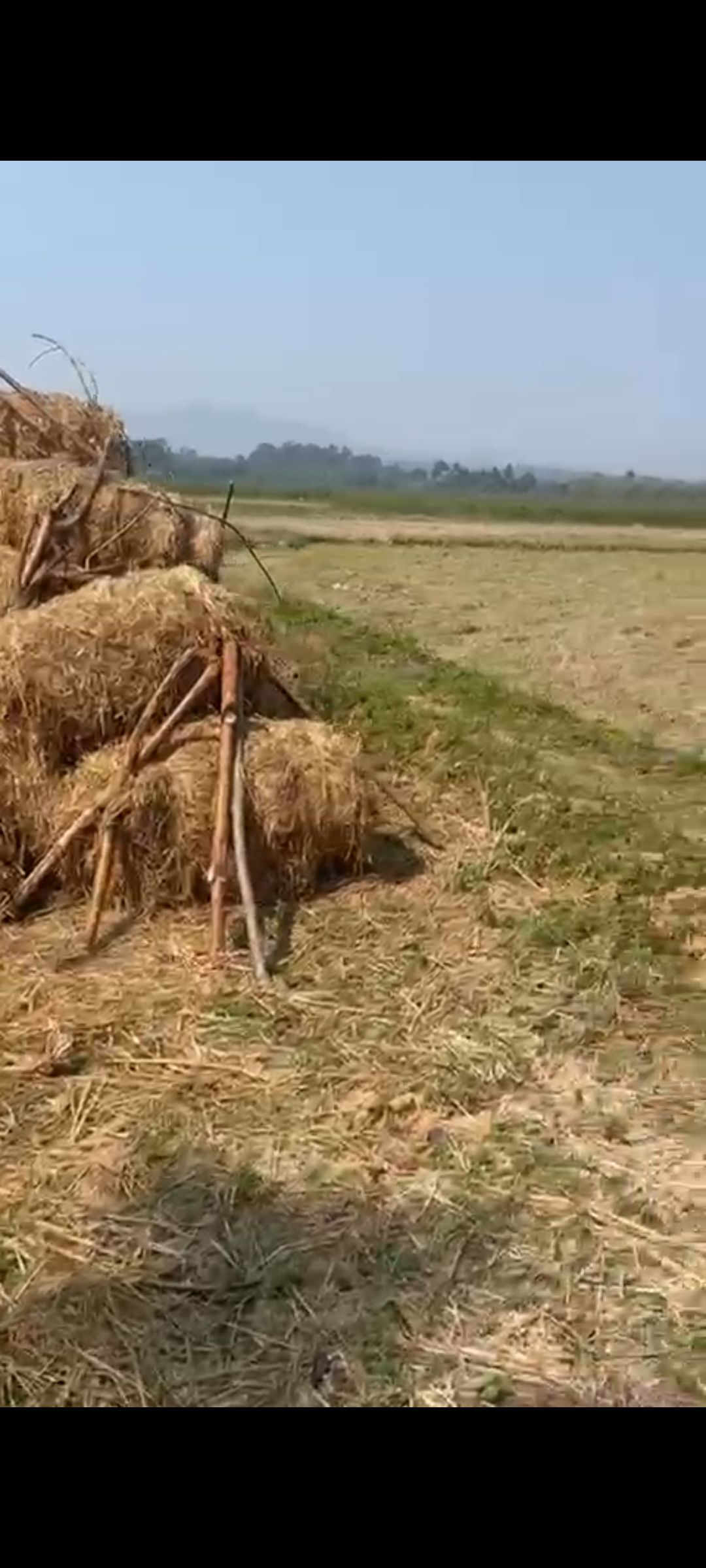 PRIME PROPERTY FOR SALE IN COORG
