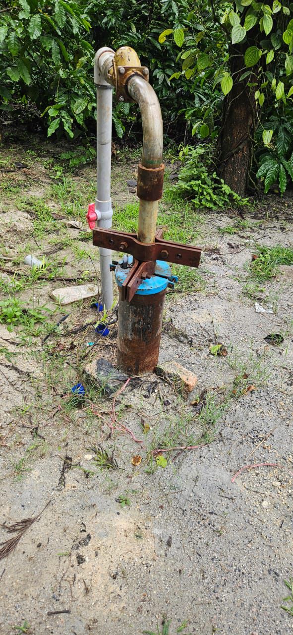 Property ID – 5134*  ☕🌿 *90 Acre Coffee & Pepper Estate for Sale – Alur Taluk, Hassan* 🌄 (Just 20 km from Hassan City | 500 mtrs from SH Road