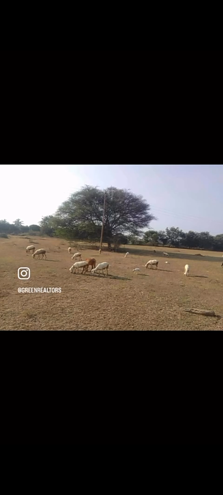 Property ID – 5132*  🌾 *4.08 Acre Agricultural Land for Sale – Sulibele, Hoskote Taluk 🌿*