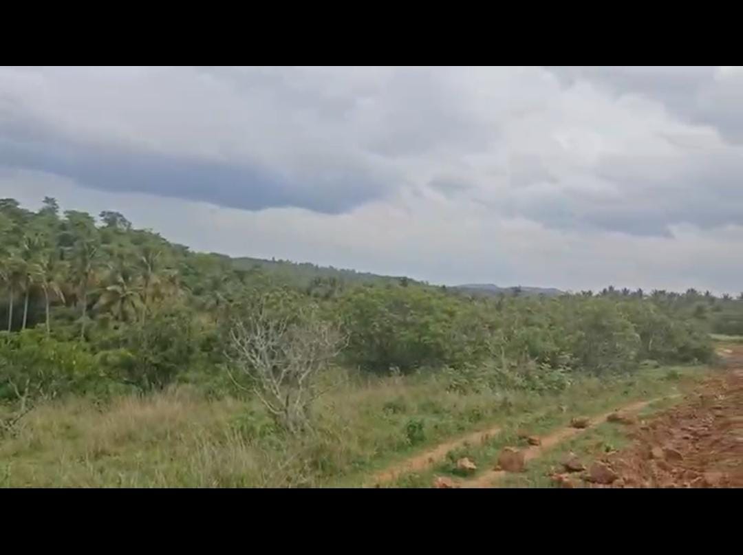 Ramangara, Bengaluru south district - 56 gunta mango farm for sale, 1 acre 16 gunta