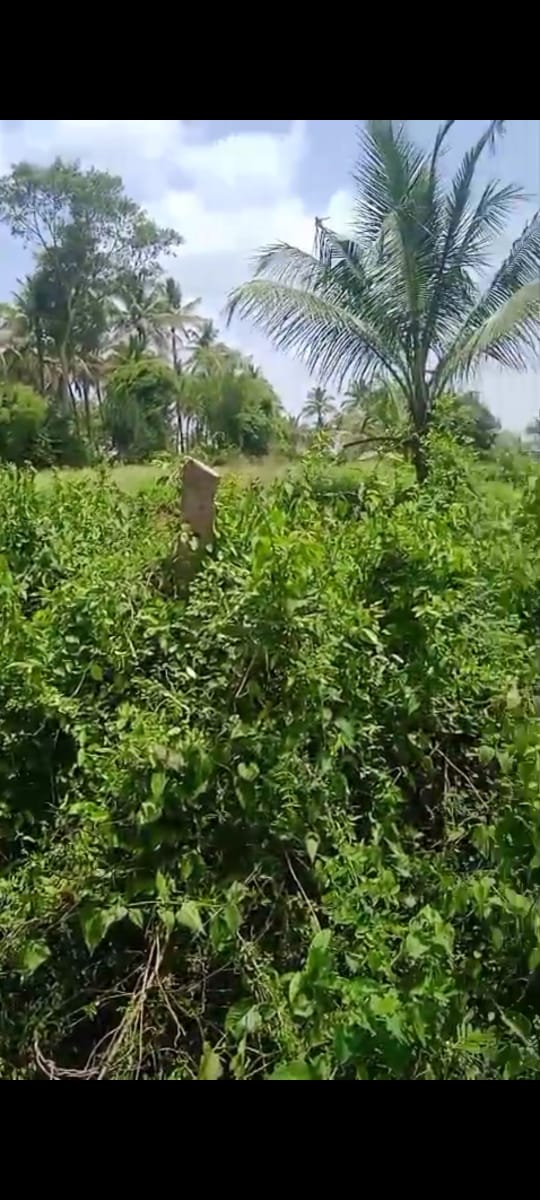 Ramangara, Bengaluru south district - 10 gunta farm land for sale