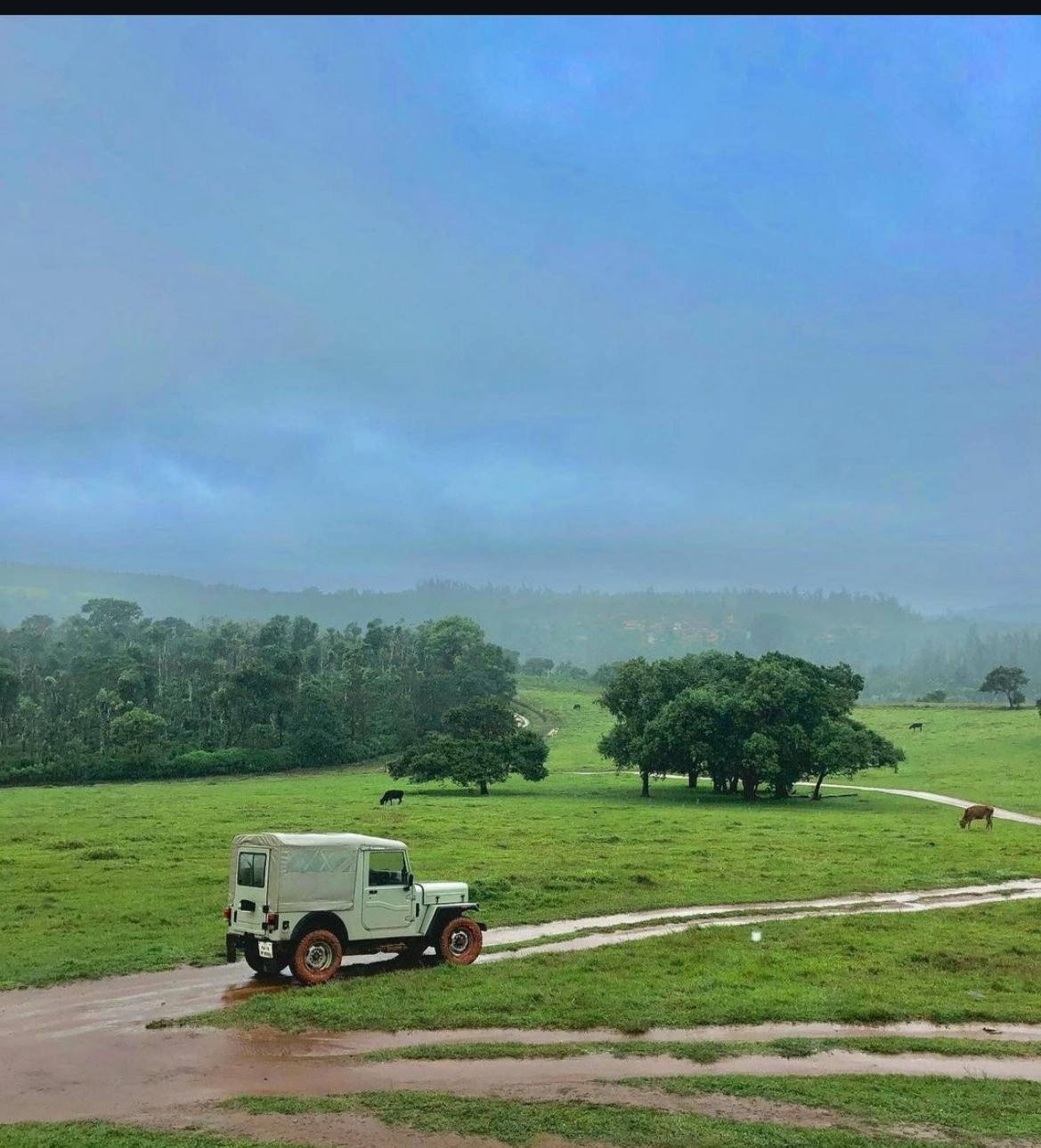 Sakleshpura, 13 km from city - 11-acre beautiful view point land for sale