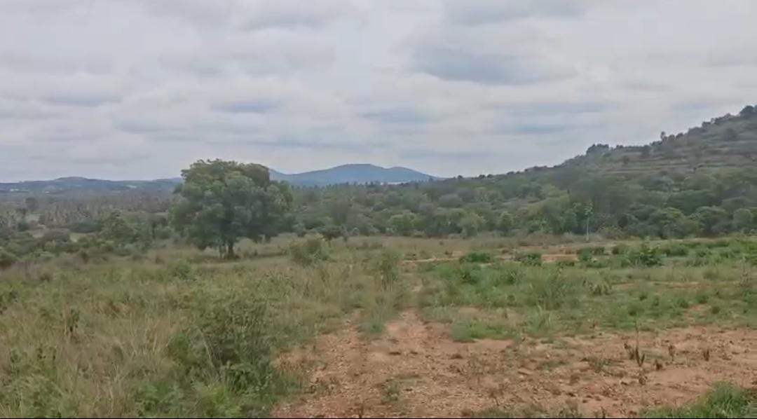 Sasulu Hobli, Doddaballapur Taluk, Bangalore Rural - 2 acres 13 guntas farm land