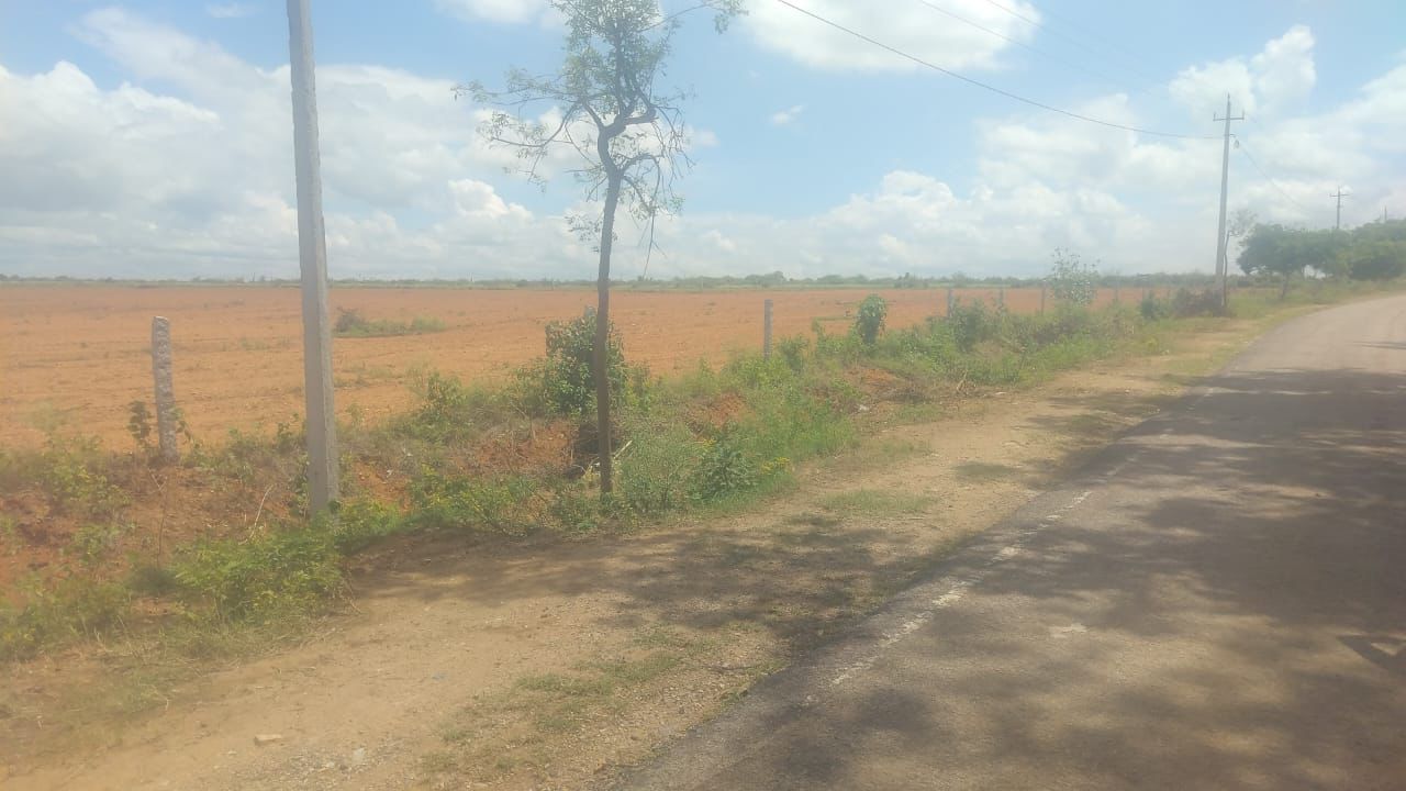  T Narasipura taluk, Mysore district - 15 acre agricultural land for sale