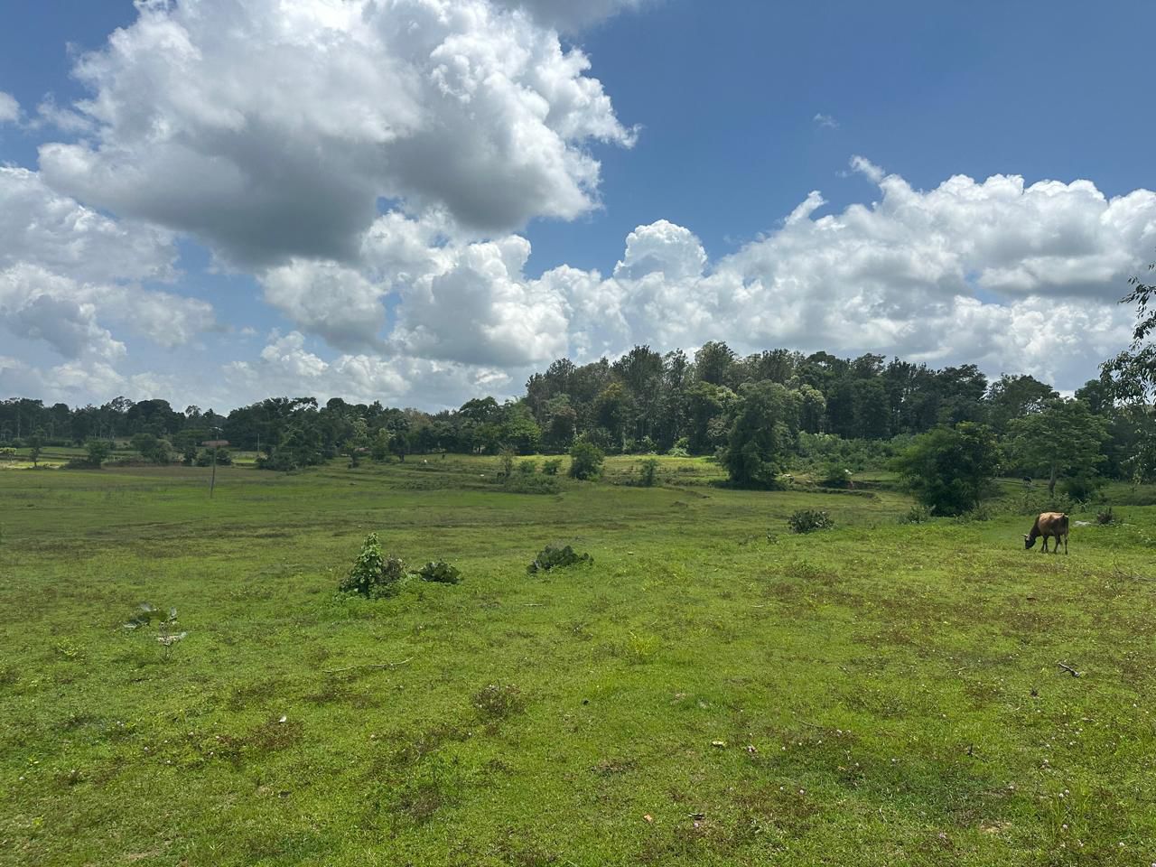 Towards Alur-Bikkod, Hassan - 800 mtrs from state highway, 