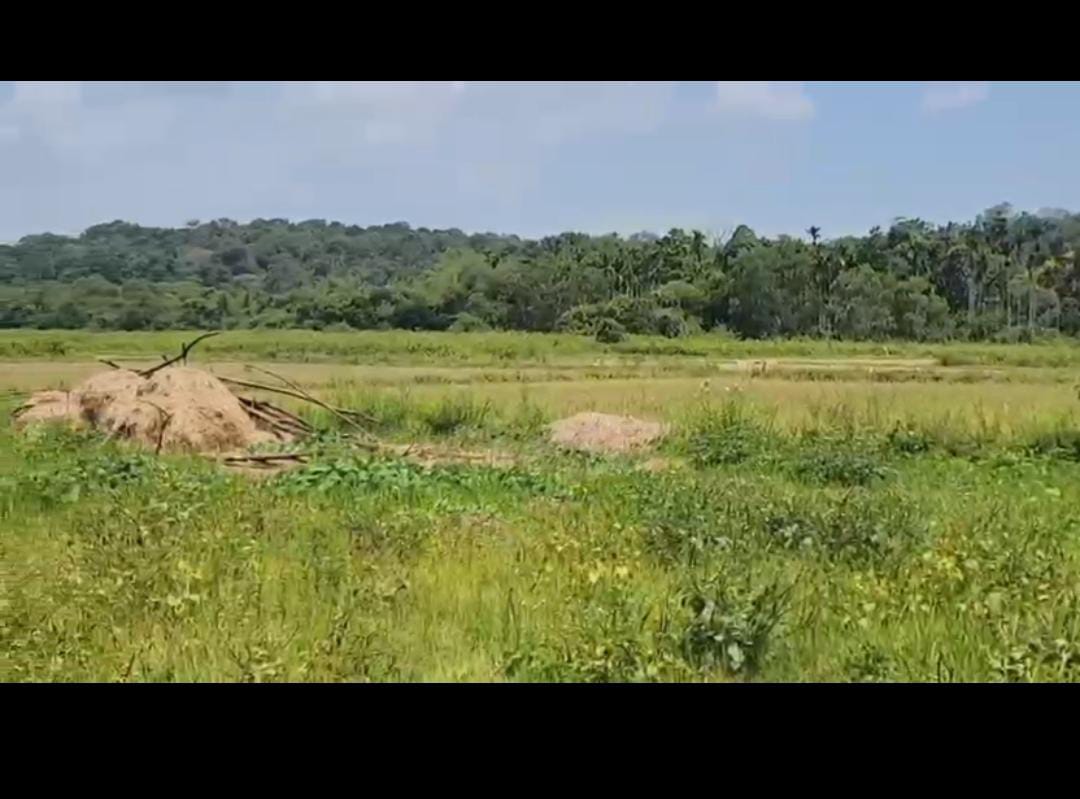 Virajpet-Madikeri State Highway, Coorg - Land Area: 6 acres