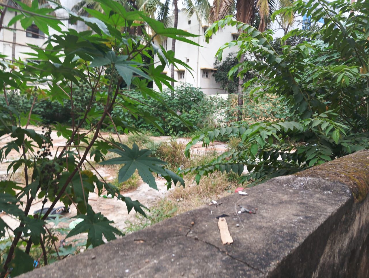 Yelachenahalli, JP Nagar 6th Phase, Bengaluru - 10000 sq ft land