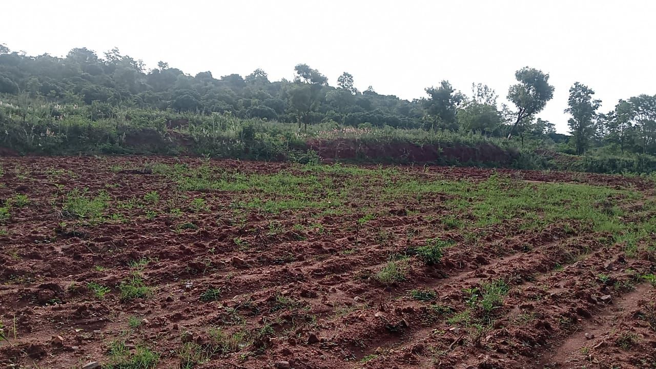 alamangala, Bengaluru south district - 10.5 acre agri land for sale
