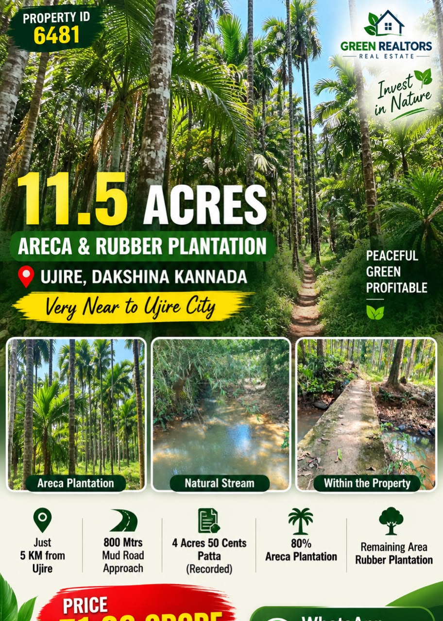 🆔 *PROPERTY ID – 6481*  🌴🌿 *11.5 ACRES ARECA & RUBBER PLANTATION FOR SALE – UJIRE, DAKSHINA KANNADA* 🌿🌴
