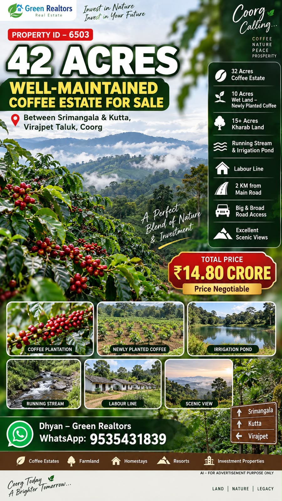 🆔 *PROPERTY ID – 6503*  ☕🌿 *42 ACRES WELL-MAINTAINED COFFEE ESTATE FOR SALE – VIRAJPET, COORG* 🌿☕