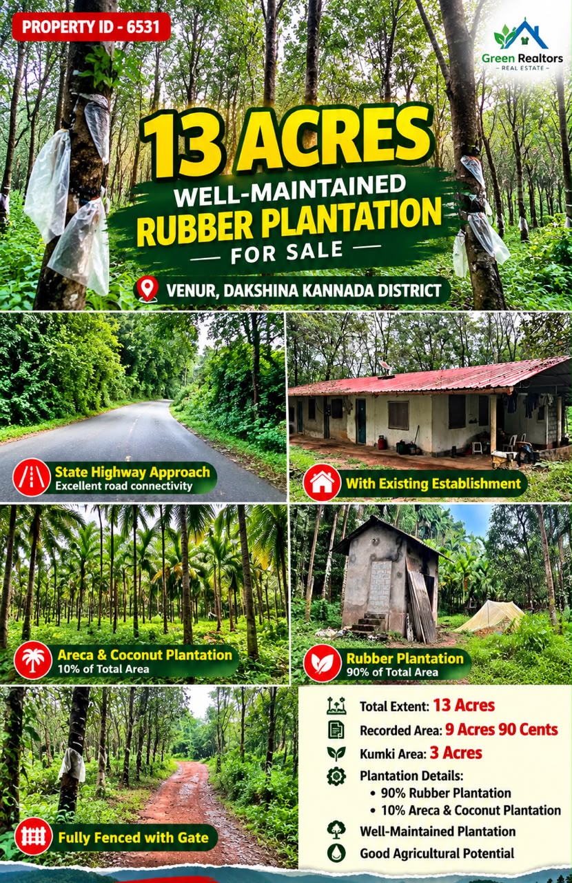 🆔 *PROPERTY ID – 6531*  🌴🏡 *13 ACRES WELL-MAINTAINED RUBBER PLANTATION FOR SALE – VENUR, DAKSHINA KANNADA*