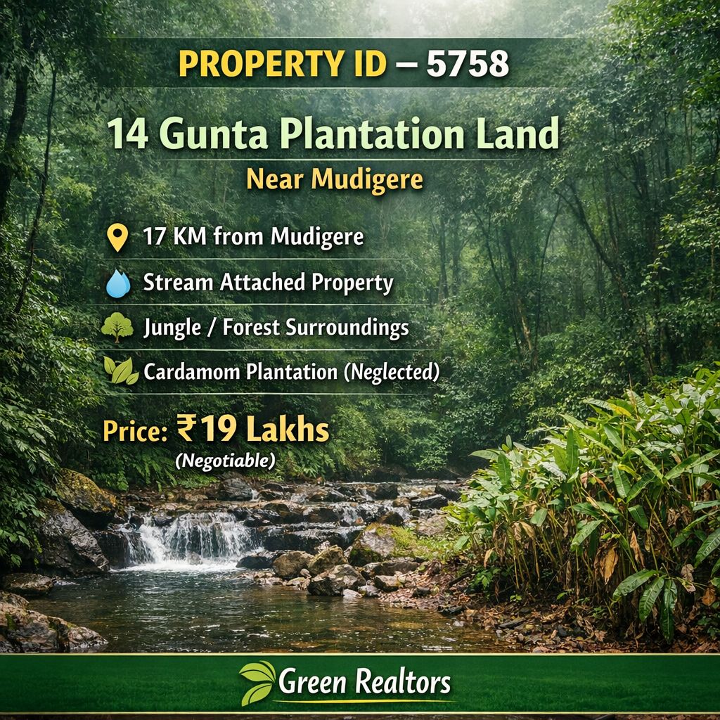 🆔 *PROPERTY ID – 5758*  🌿 *14 Gunta neglected plantation  Land for Sale in  Mudigere